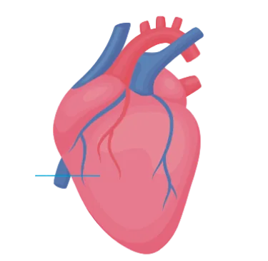 Hearth